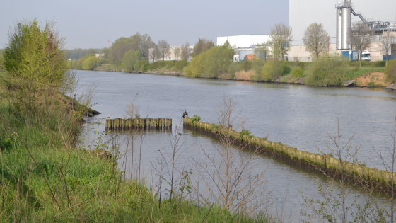 gezinszoektocht Blob in schoondalbos