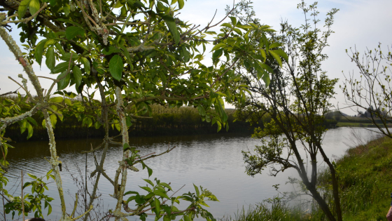 gezinszoektocht Blob in schoondalbos