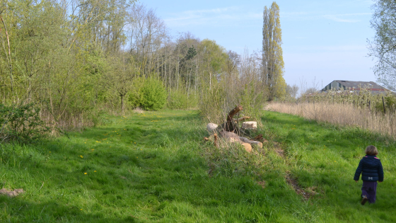 gezinszoektocht Blob in schoondalbos