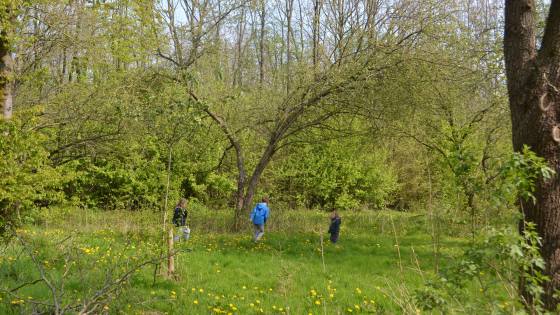 gezinszoektocht Blob in schoondalbos