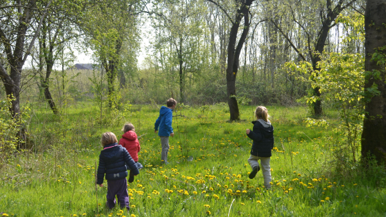 gezinszoektocht Blob in schoondalbos