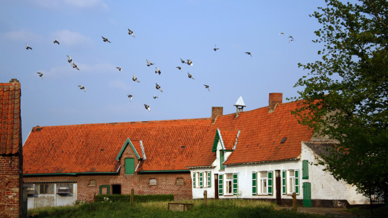 Een zicht op Goed Te Beaulieu