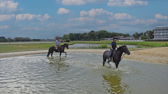 Een waterpartij op de hippodroom