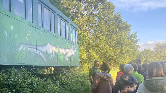 Oude Spoorwegberm met treinwagon