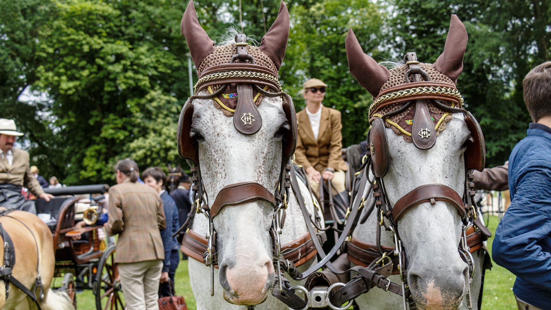 twee paarden tijdens de elegantietocht