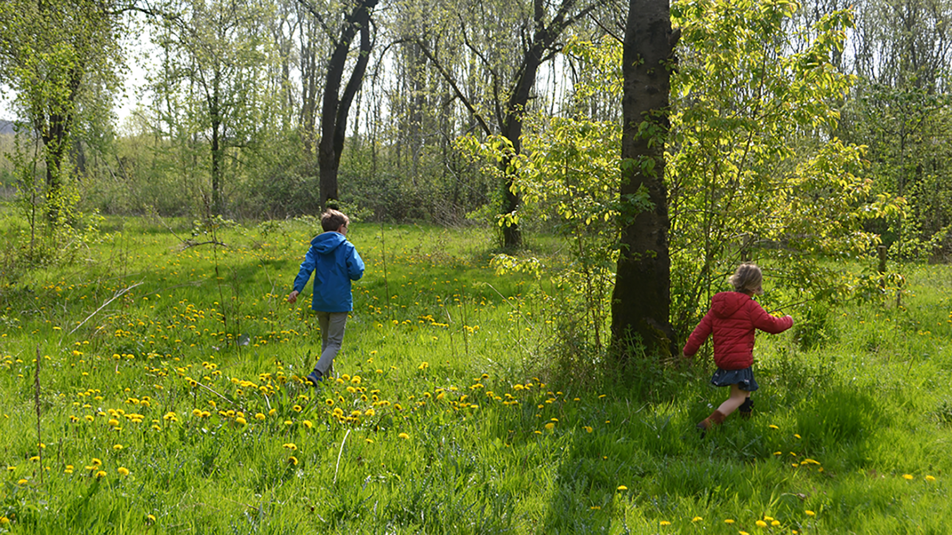 Kinderen op wandel in schoondalbos