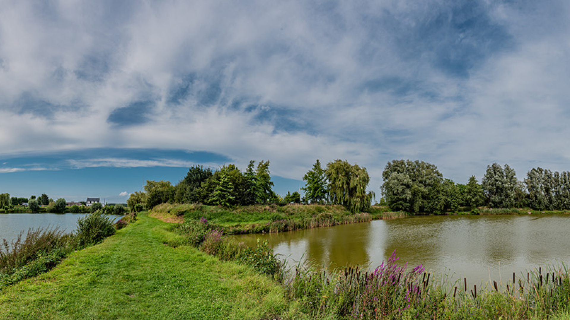 De visvijvers in Desselgem