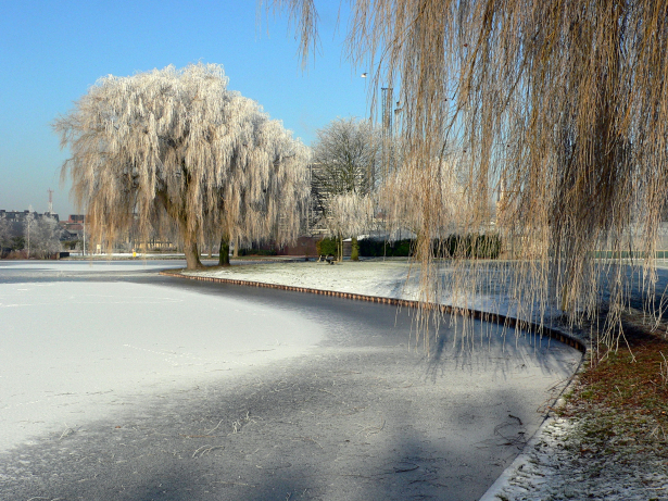 Winterzoektocht