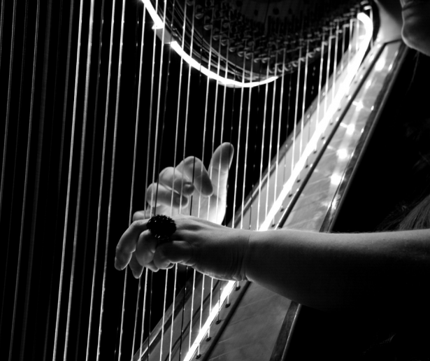 Kunstacademie: Harp
